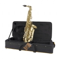 AS711 Prelude Saxophone sitting on Case