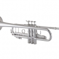 Bach 180S37 Professional Trumpet