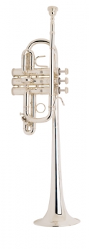 image of a D180L Professional D Trumpet
